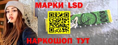 индика Обь