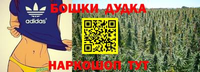 индика Обь