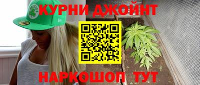 индика Обь